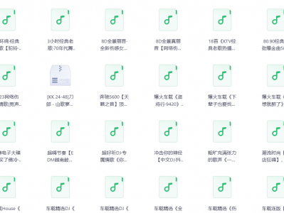 车载音乐 DJ串烧劲爆歌曲三百首