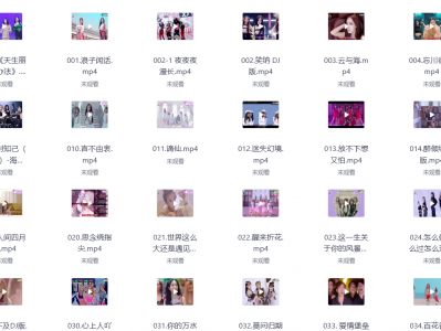 抖音热卖车载音乐+视频合集