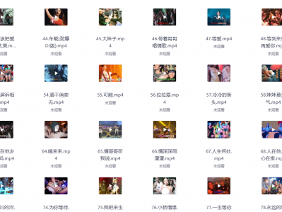 精选125首夜店dj车载mv 高清全1080p MP4/14g