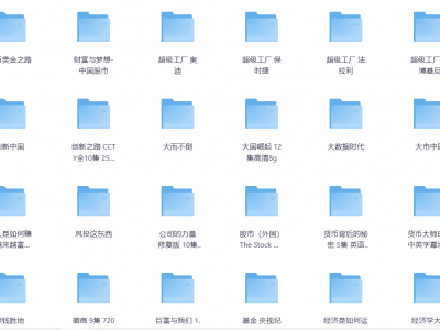 72部搞钱记录片-搞钱必备335G